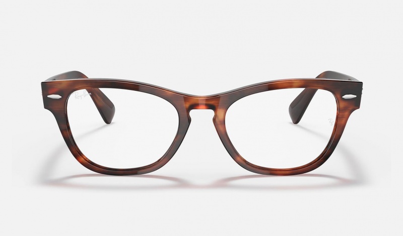 Ray Ban Laramie Optics Women's Eyeglasses Brown | 17549-LBIH