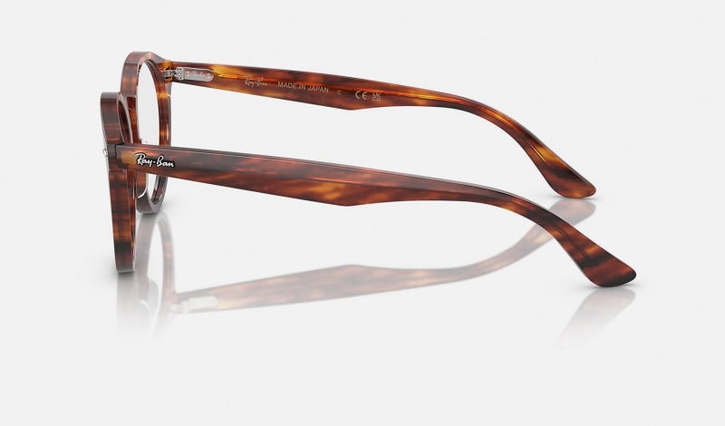 Ray Ban Larry Optics Women's Eyeglasses Brown | 26597-SGCA