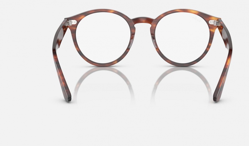 Ray Ban Larry Optics Women's Eyeglasses Brown | 26597-SGCA