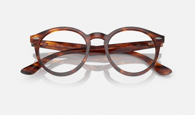 Ray Ban Larry Optics Women's Eyeglasses Brown | 26597-SGCA