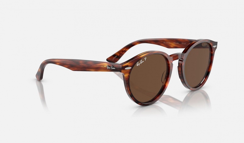 Ray Ban Larry Women's Sunglasses Brown | 41605-LJBT