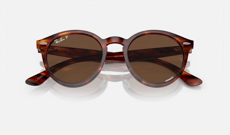 Ray Ban Larry Women's Sunglasses Brown | 41605-LJBT