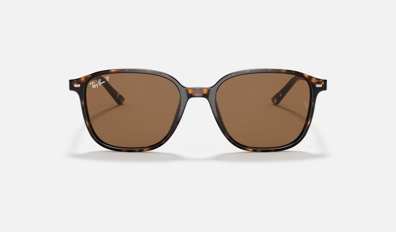 Ray Ban Leonard Men's Sunglasses Brown | 97805-ZGWD