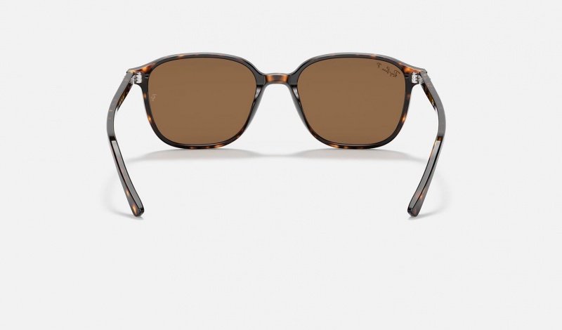 Ray Ban Leonard Men's Sunglasses Brown | 97805-ZGWD