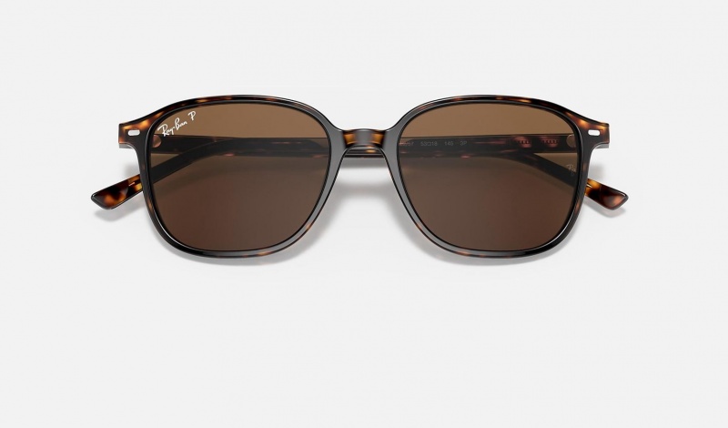 Ray Ban Leonard Men's Sunglasses Brown | 97805-ZGWD