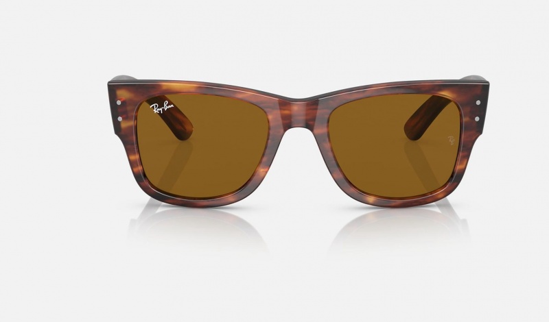 Ray Ban Mega Wayfarer Women's Sunglasses Brown | 39081-XUKP