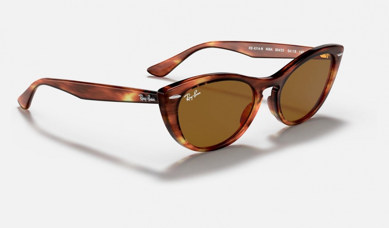 Ray Ban Nina Women's Sunglasses Brown | 14073-TCPV