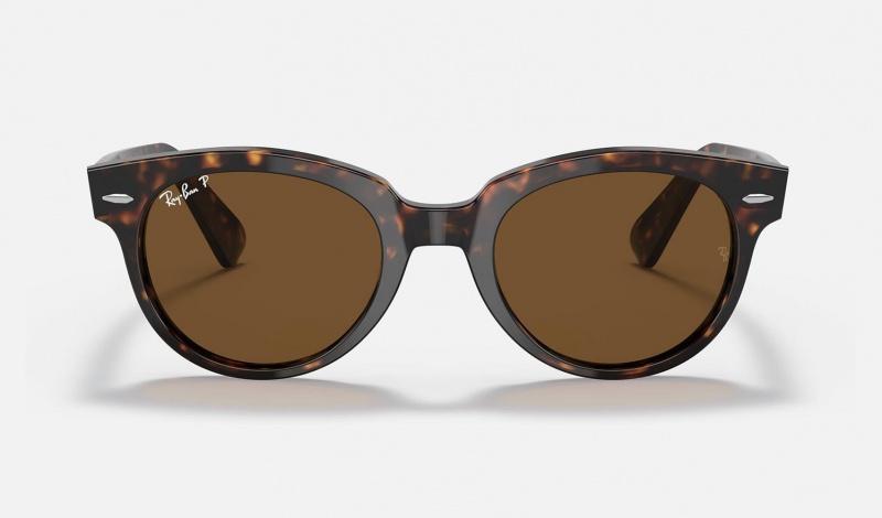 Ray Ban Orion Men's Sunglasses Brown | 46095-AHMU