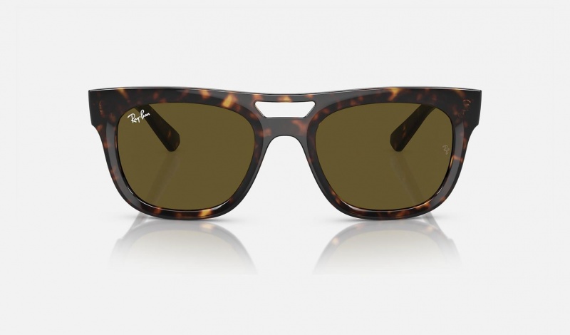 Ray Ban Phil Bio-based Men's Sunglasses Brown | 81350-FZRB