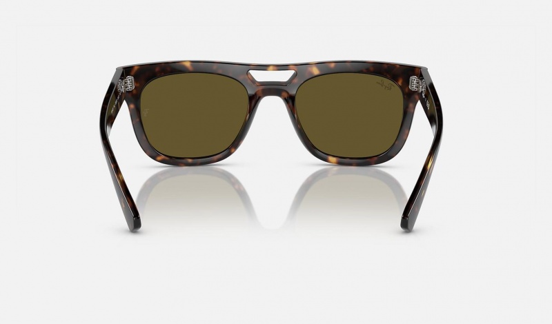 Ray Ban Phil Bio-based Men's Sunglasses Brown | 81350-FZRB