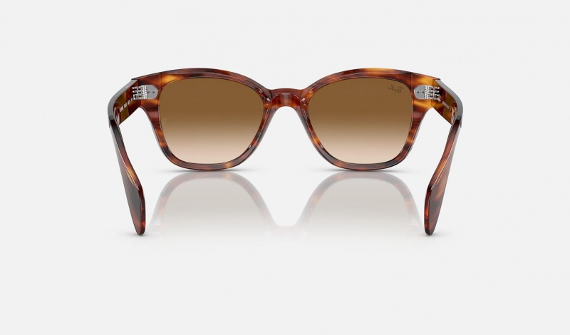 Ray Ban RB0880s Men's Sunglasses Brown | 47308-ZQYW