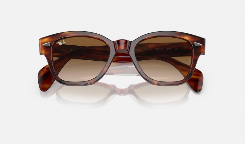 Ray Ban RB0880s Men's Sunglasses Brown | 47308-ZQYW