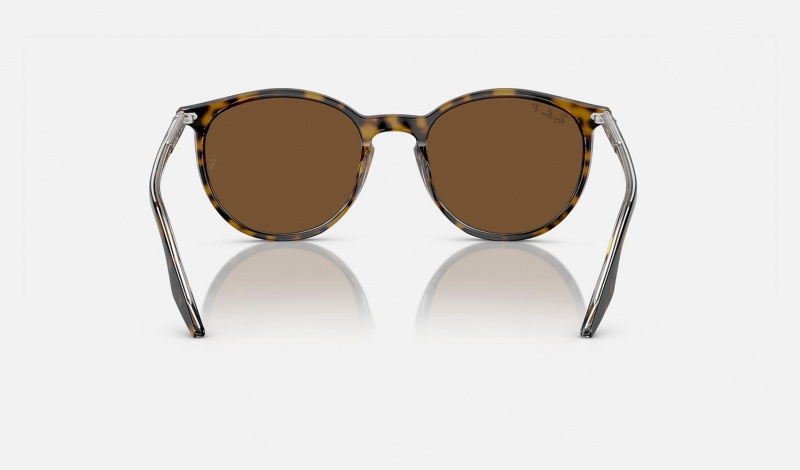 Ray Ban RB2204 Men's Sunglasses Brown | 69480-MBJF