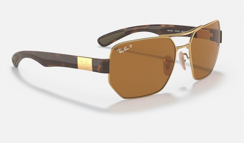 Ray Ban RB3672 Men's Sunglasses Brown | 79546-PBOK