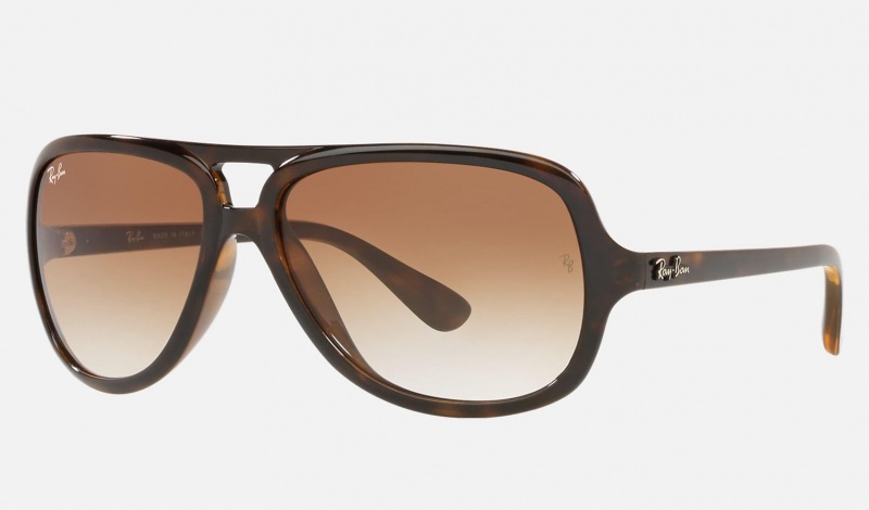 Ray Ban RB4162 Men\'s Sunglasses Brown | 70634-KJHQ