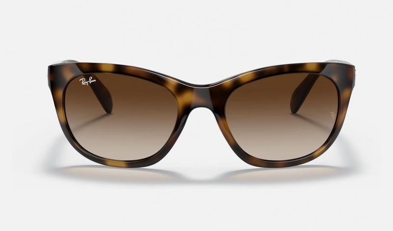 Ray Ban RB4216 Women's Sunglasses Brown | 76928-FWNS