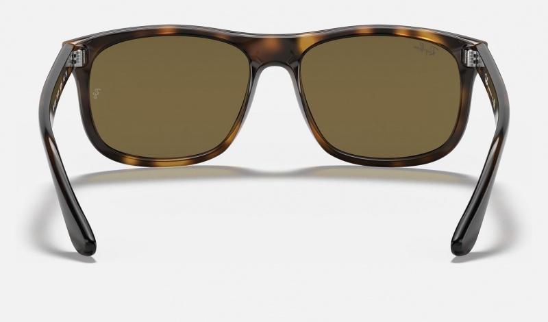 Ray Ban RB4226 Men's Sunglasses Brown | 05874-WRQZ