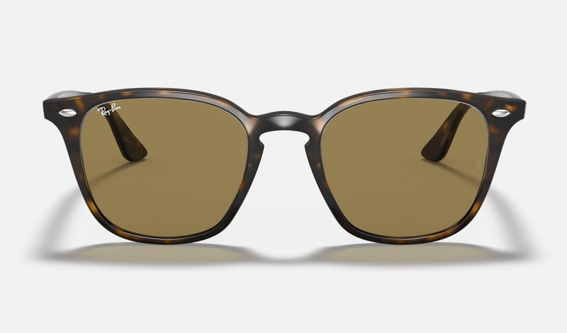 Ray Ban RB4258 Men's Sunglasses Brown | 24563-TBLP