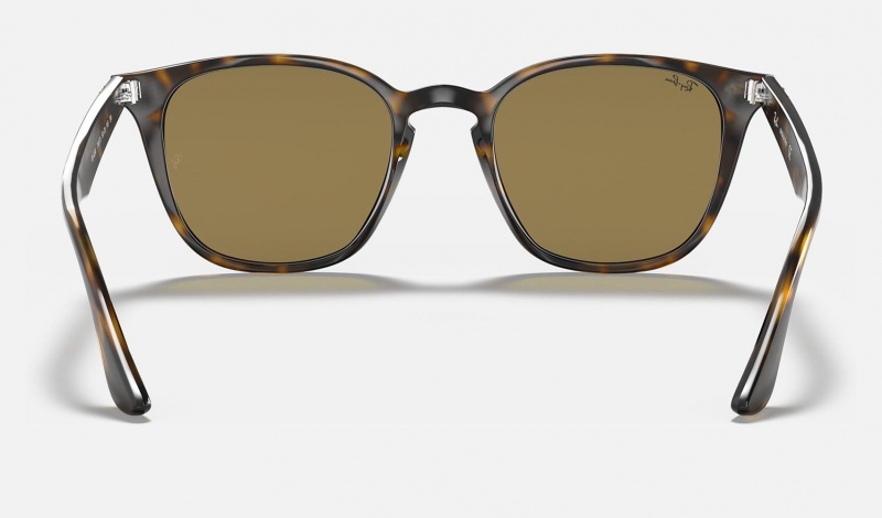 Ray Ban RB4258 Men's Sunglasses Brown | 24563-TBLP