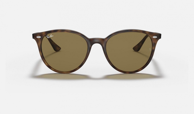 Ray Ban RB4305 Men's Sunglasses Brown | 03752-IXQN