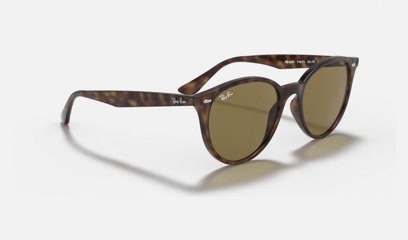 Ray Ban RB4305 Men's Sunglasses Brown | 03752-IXQN