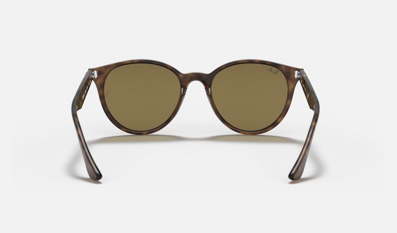 Ray Ban RB4305 Men's Sunglasses Brown | 03752-IXQN