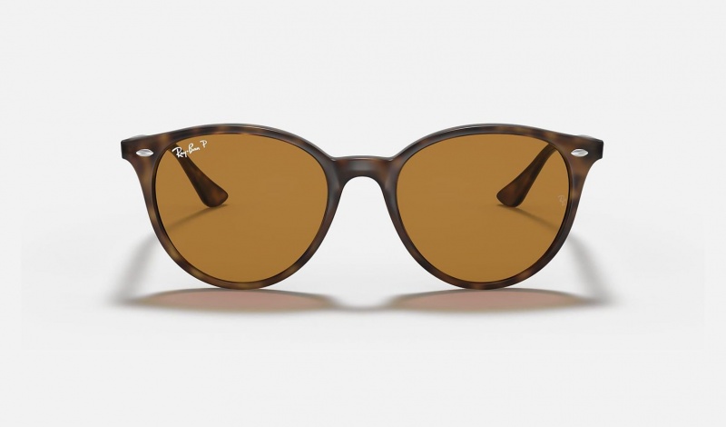 Ray Ban RB4305 Men's Sunglasses Brown | 92341-CYOH