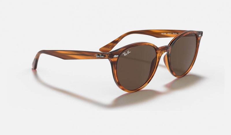 Ray Ban RB4305 Women's Sunglasses Brown | 08947-ONEY