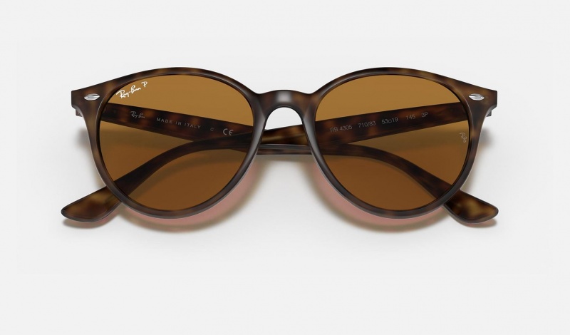 Ray Ban RB4305 Women's Sunglasses Brown | 76320-DJKP