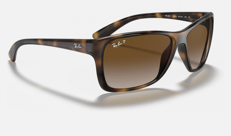 Ray Ban RB4331 Men's Sunglasses Brown | 59207-SFKE