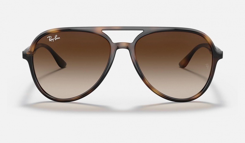 Ray Ban RB4376 Men's Sunglasses Brown | 08413-ZQAJ