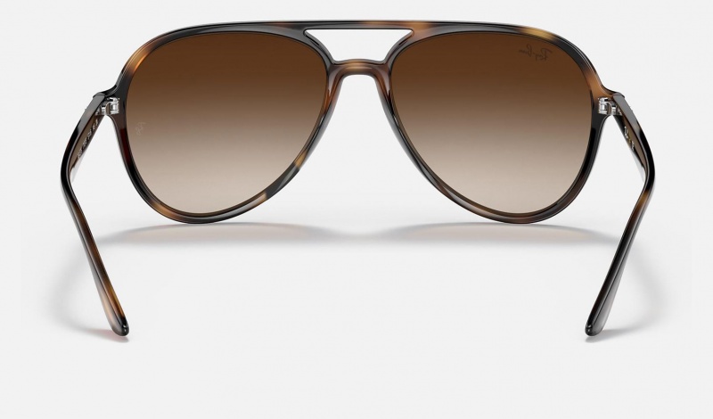 Ray Ban RB4376 Men's Sunglasses Brown | 08413-ZQAJ