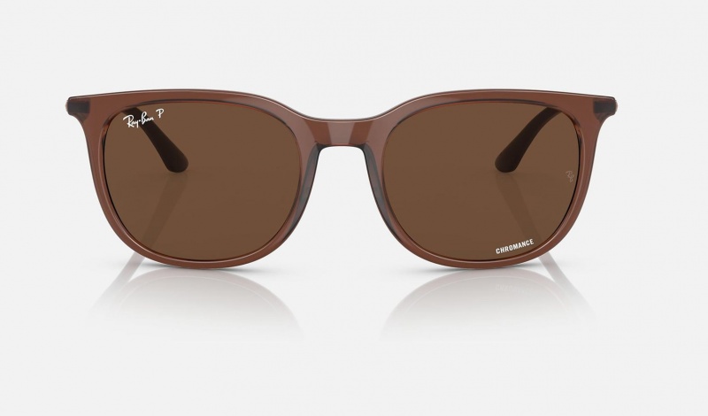 Ray Ban RB4386 Men's Sunglasses Brown | 35467-GLOS