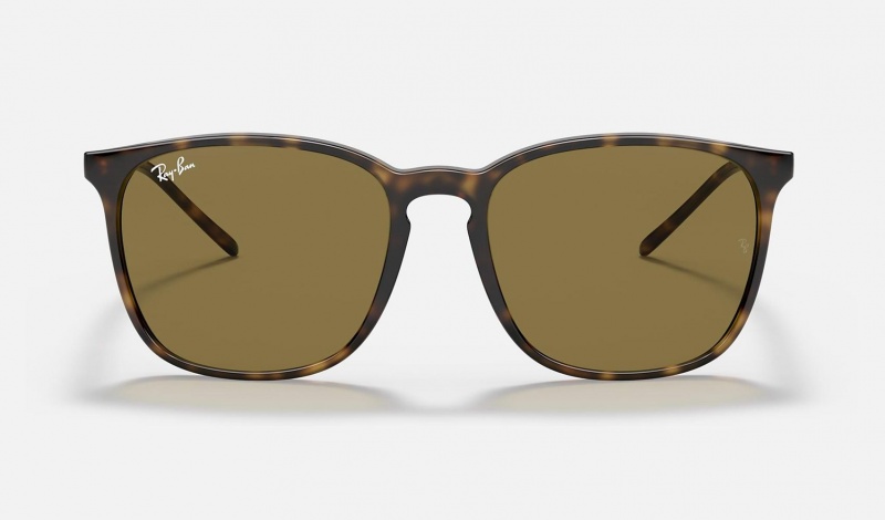 Ray Ban RB4387 Men's Sunglasses Brown | 43627-KGNP