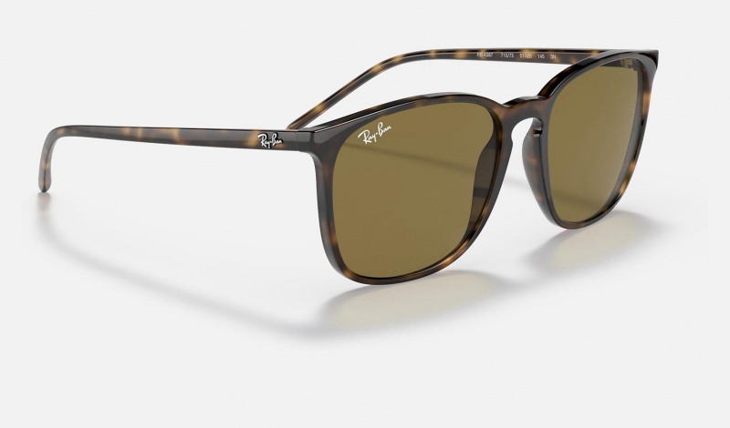 Ray Ban RB4387 Men's Sunglasses Brown | 43627-KGNP