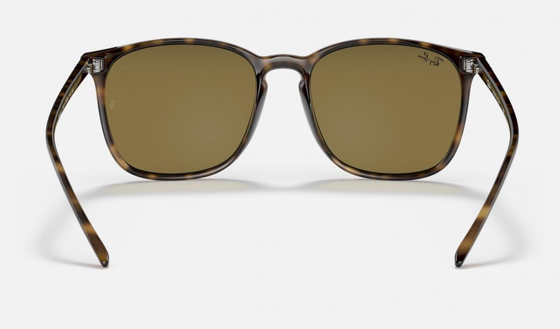 Ray Ban RB4387 Men's Sunglasses Brown | 43627-KGNP