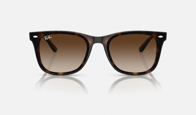 Ray Ban RB4420 Men's Sunglasses Brown | 16483-ZKUO