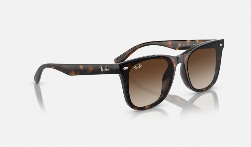 Ray Ban RB4420 Men's Sunglasses Brown | 16483-ZKUO