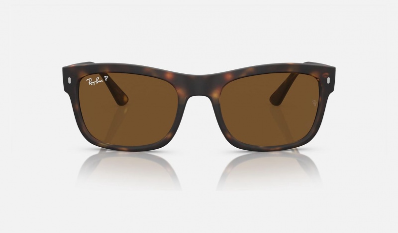 Ray Ban RB4428 Men's Sunglasses Brown | 41789-AJIF