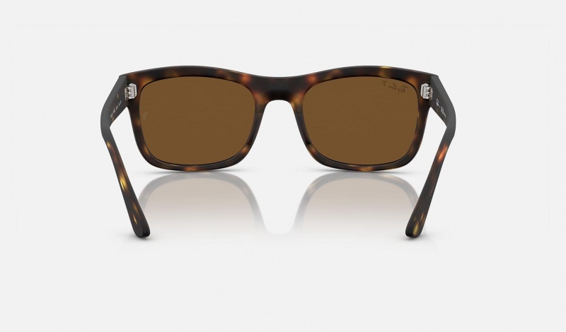 Ray Ban RB4428 Men's Sunglasses Brown | 41789-AJIF