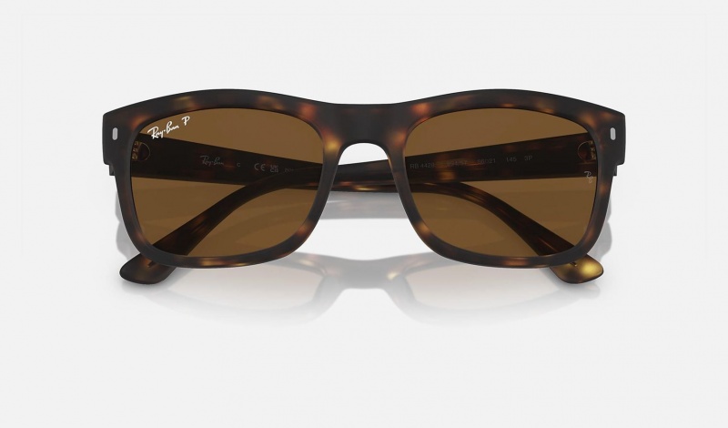 Ray Ban RB4428 Men's Sunglasses Brown | 41789-AJIF