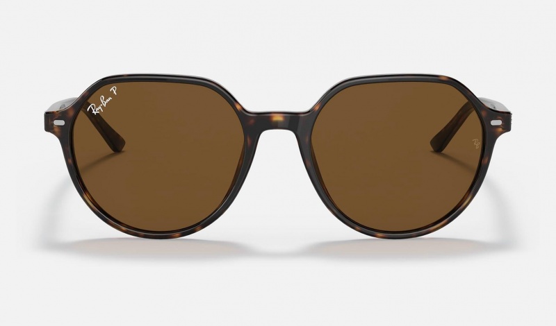 Ray Ban Thalia Men's Sunglasses Brown | 43528-PBHK