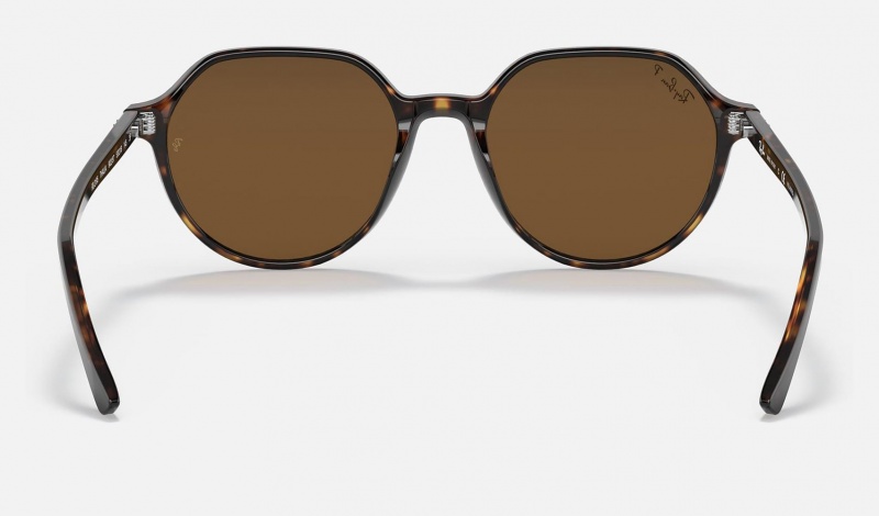 Ray Ban Thalia Men's Sunglasses Brown | 43528-PBHK