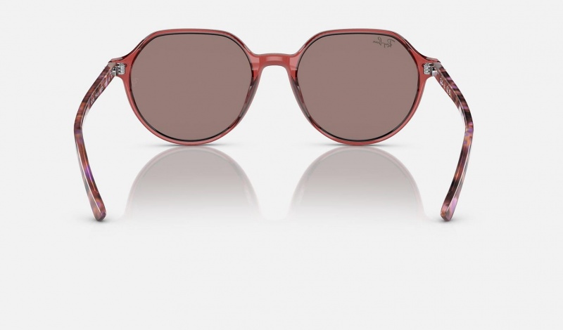 Ray Ban Thalia Men's Sunglasses Red | 48253-GDCO