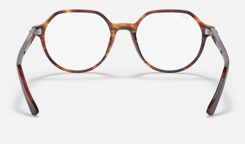 Ray Ban Thalia Optics Women's Eyeglasses Brown | 84170-QIFG