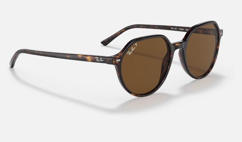 Ray Ban Thalia Women's Sunglasses Brown | 68312-YKWF