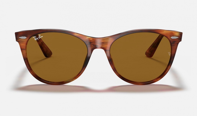 Ray Ban Wayfarer Ii Classic Men's Sunglasses Brown | 76351-CEXY